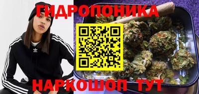 ПСИЛОЦИБИНОВЫЕ ГРИБЫ Краснодар