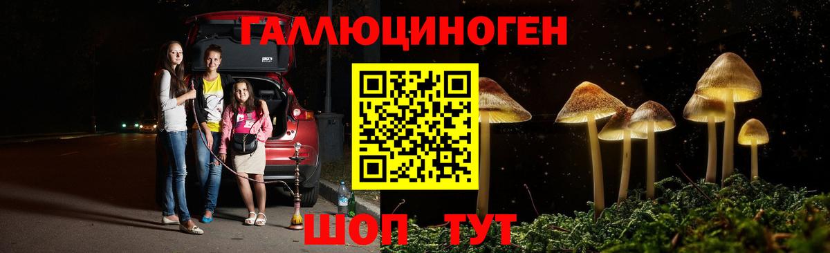 Галлюциногенные грибы мухоморы Коряжма